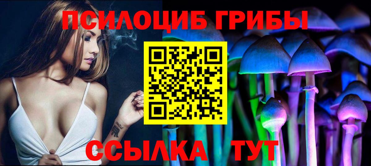 Псилоцибиновые грибы мицелий Междуреченск